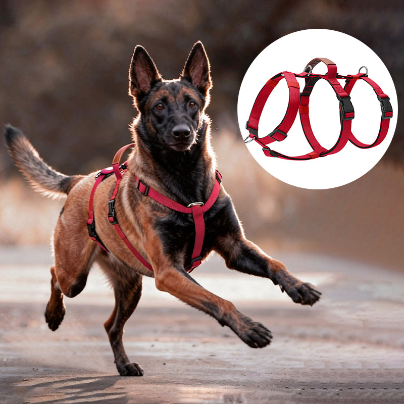 Pet Supplies Plus - Arnés de nailon a prueba de