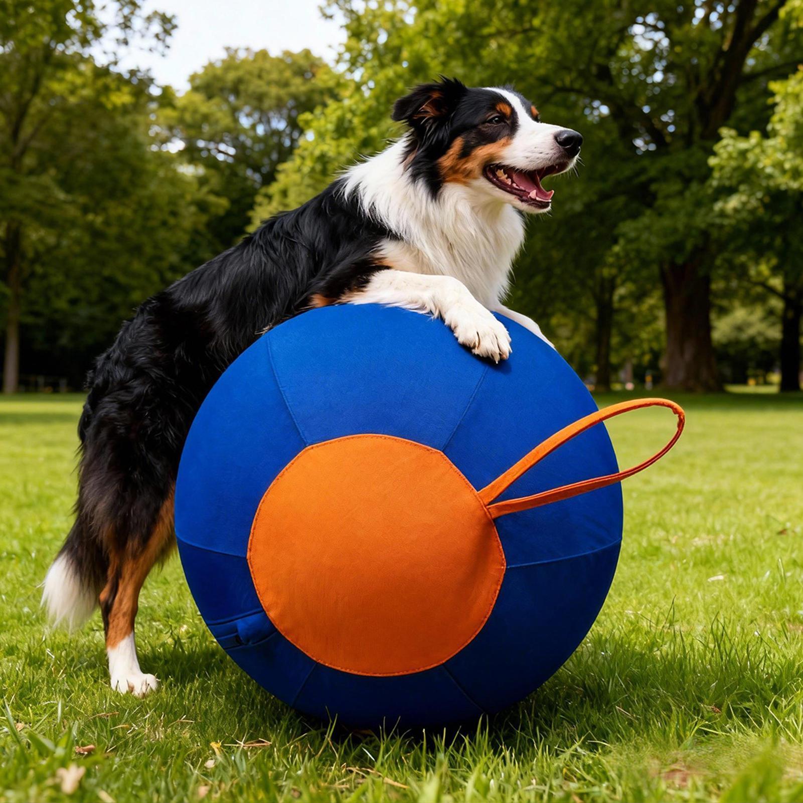 Pet Supplies Plus - Pelota Interactiva Grande para Perros, Juguete
