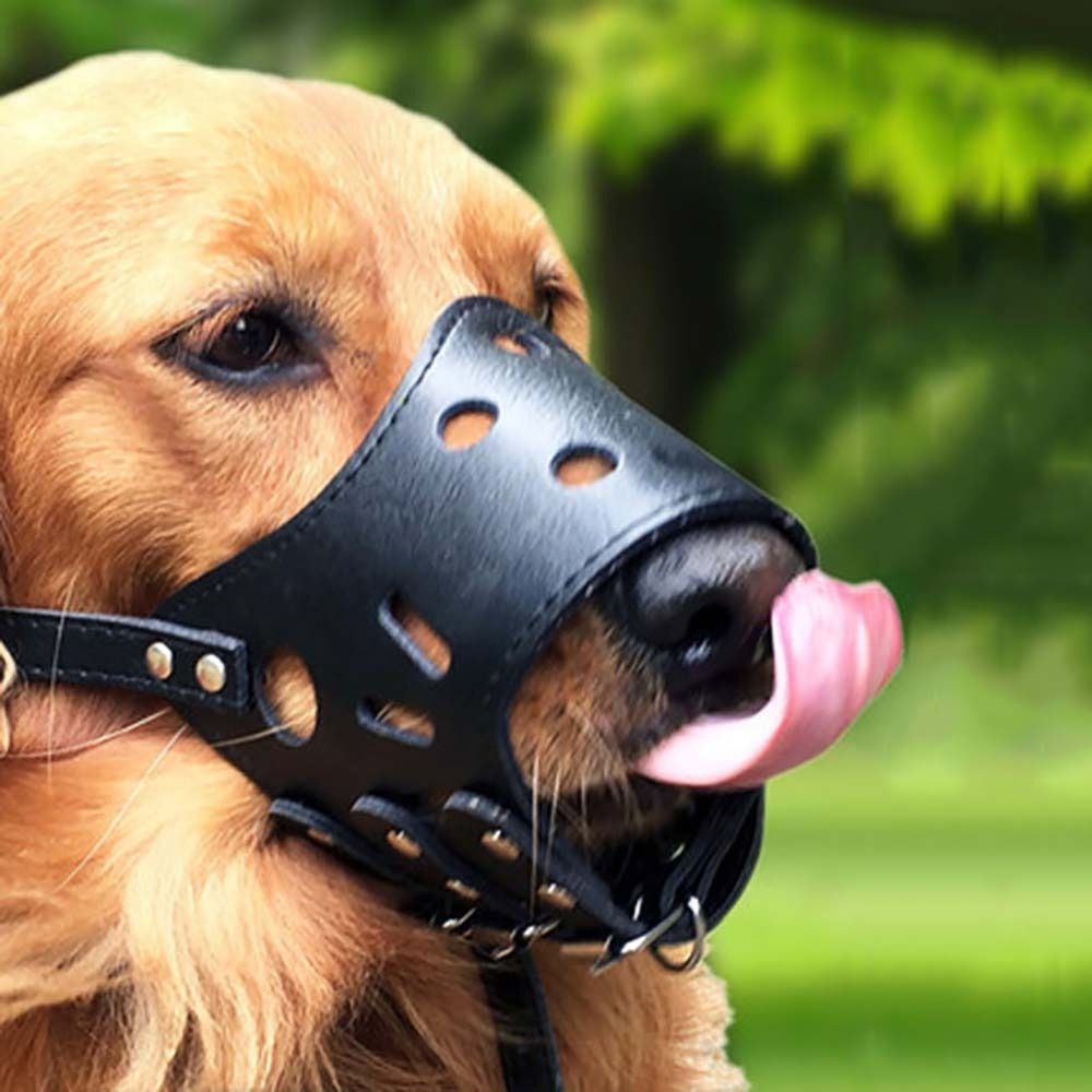 Pet Supplies Plus - Bozal Antimordiscos y Antiladridos Seguro para
