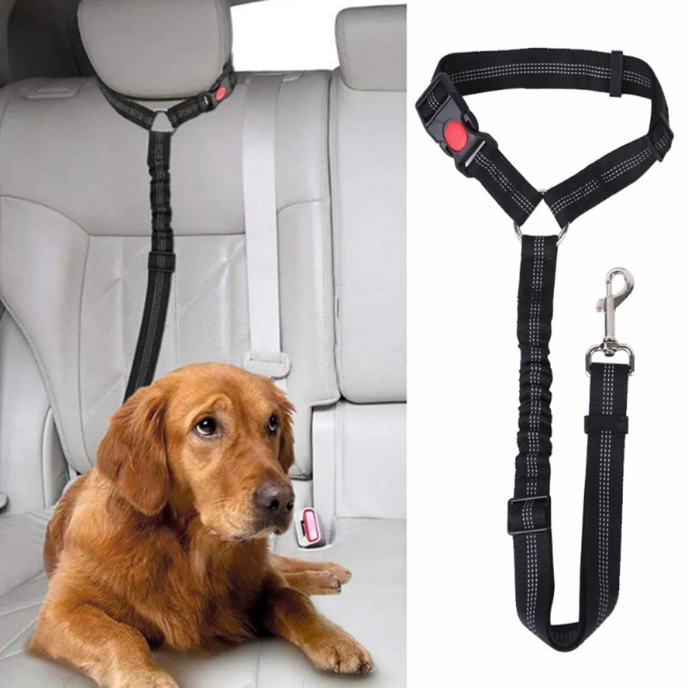 Pet Supplies Plus - Cinturón reflectante 2 en 1 para