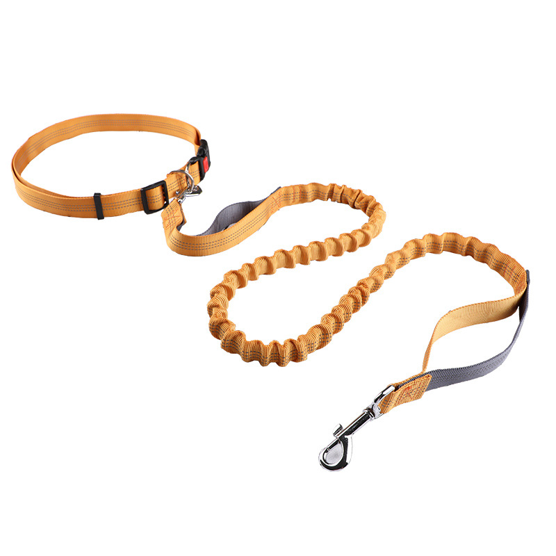 Retractable Dog Leash - Correa para mascotas, correa para correr,