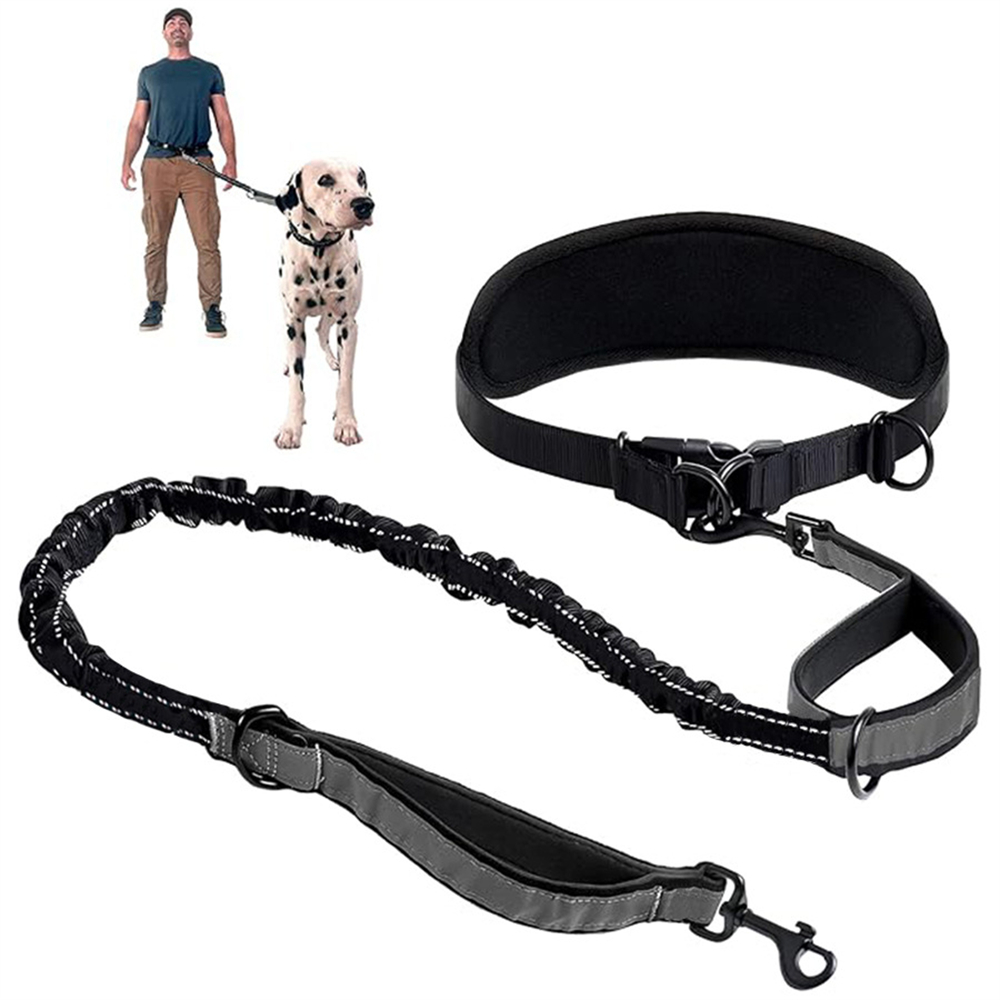 Retractable Dog Leash - Correa de perro manos libres Correa