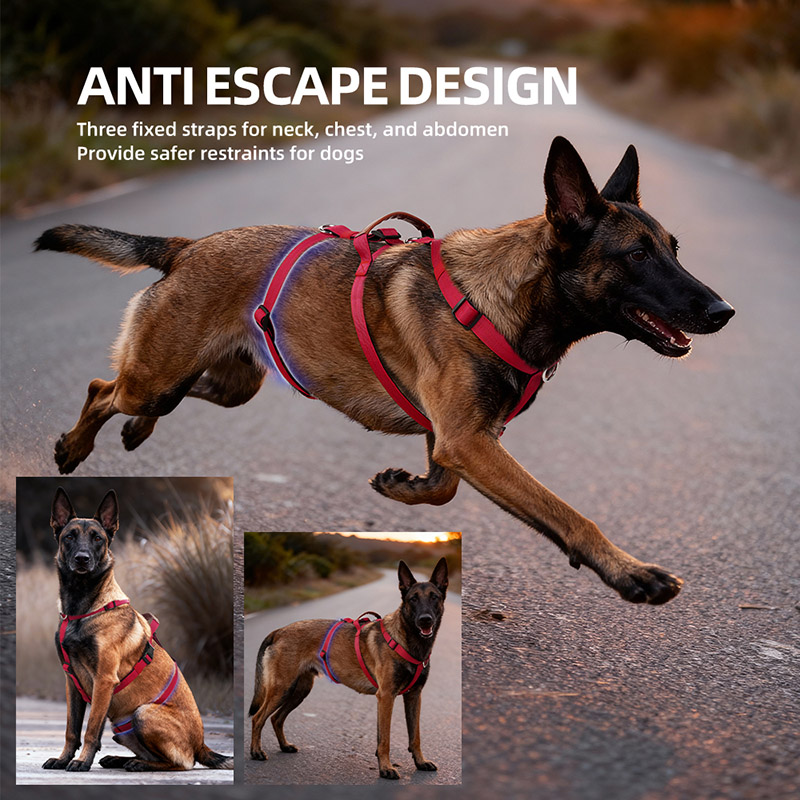 Arnés de nailon a prueba de es - Pet Supplies Plus reseña y precio