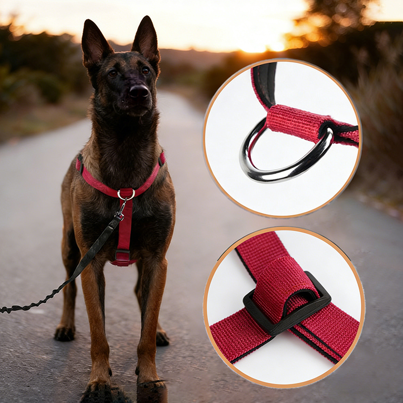 Arnés de nailon a prueba de es - Pet Supplies Plus reseña y precio