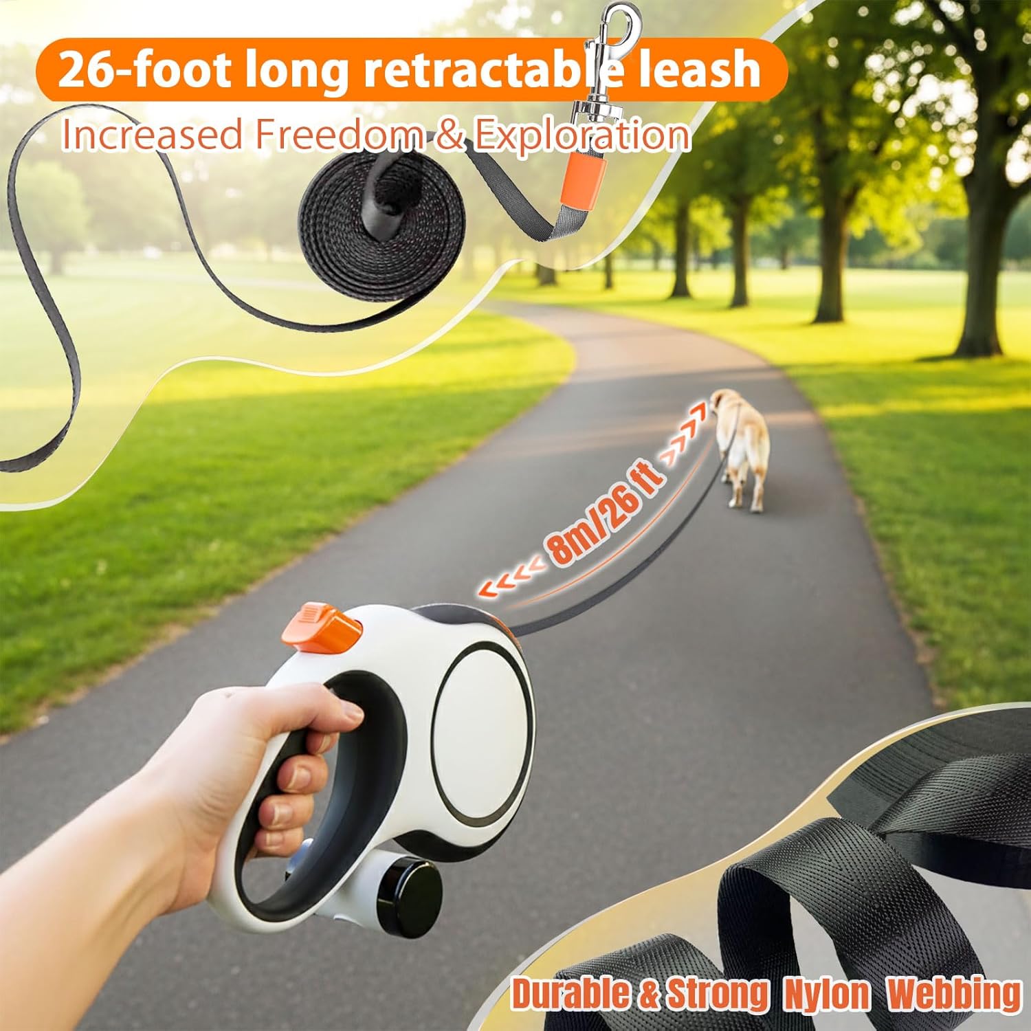 Correa para perro de 5m, 8m, 5 - Retractable Dog Leash reseña y precio