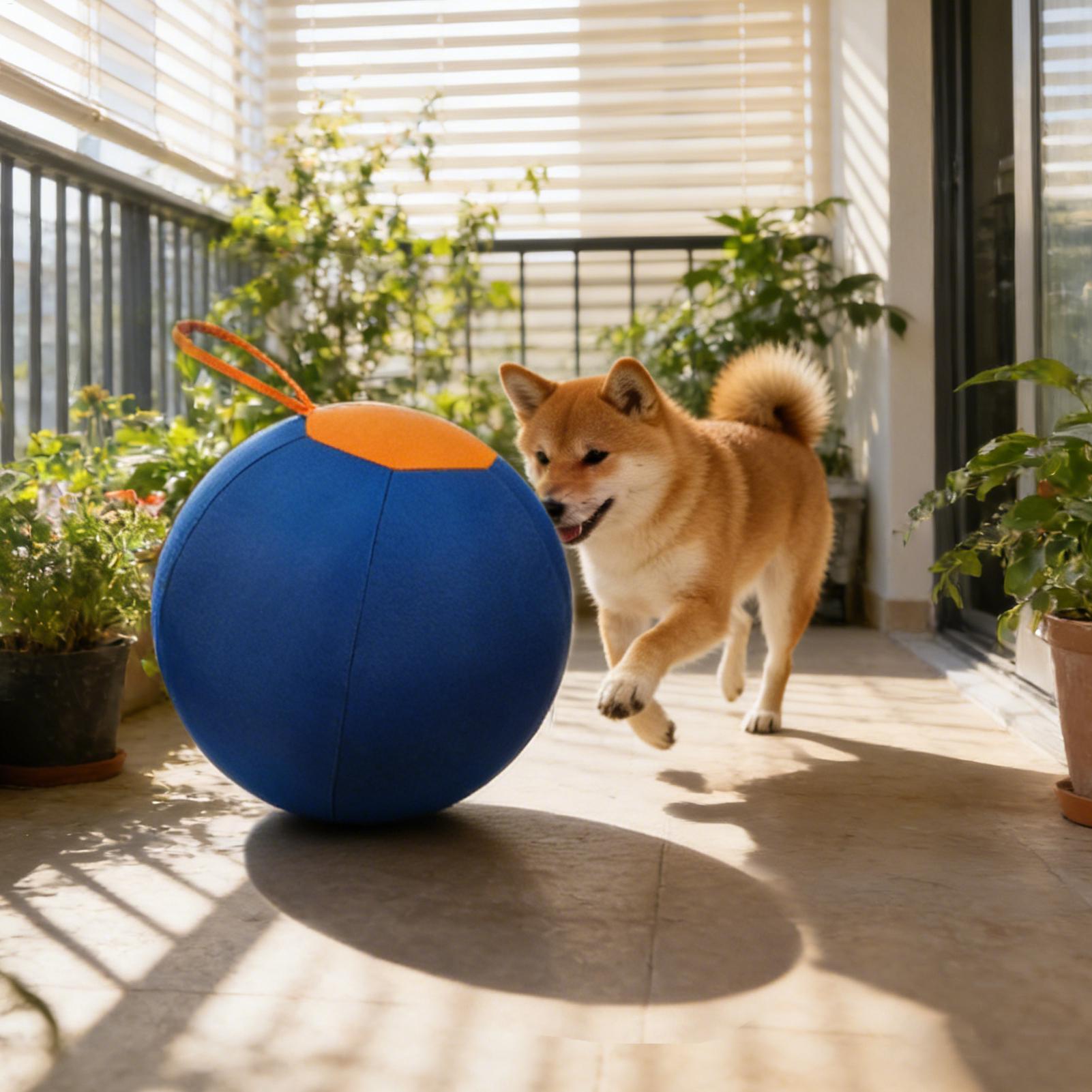 Pelota Interactiva Grande para - Pet Supplies Plus reseña y precio