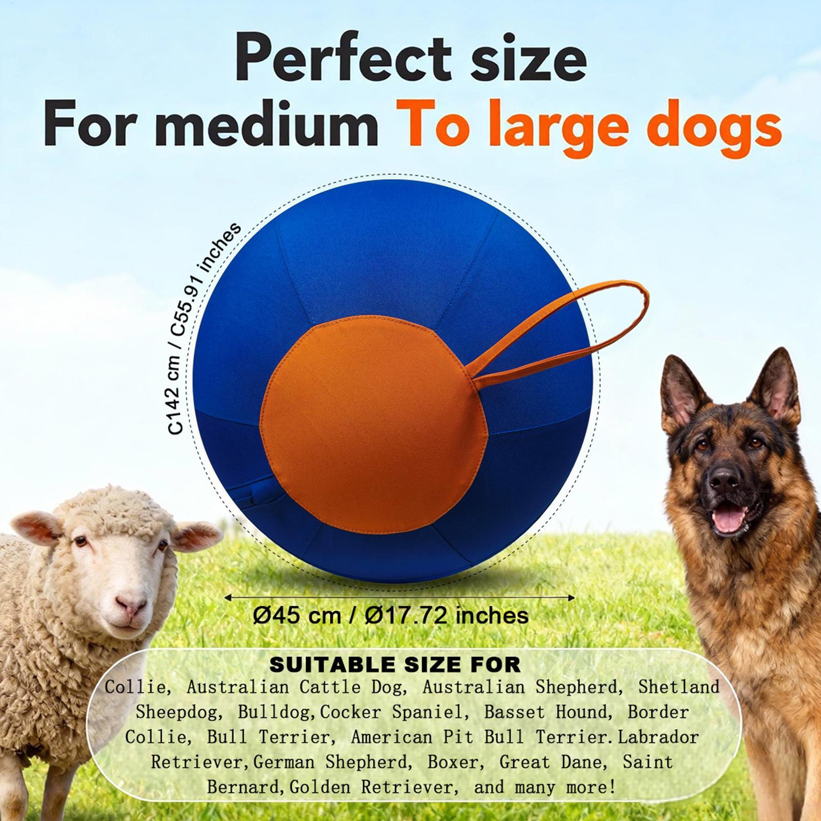 Pelota Interactiva Grande para - Pet Supplies Plus reseña y precio