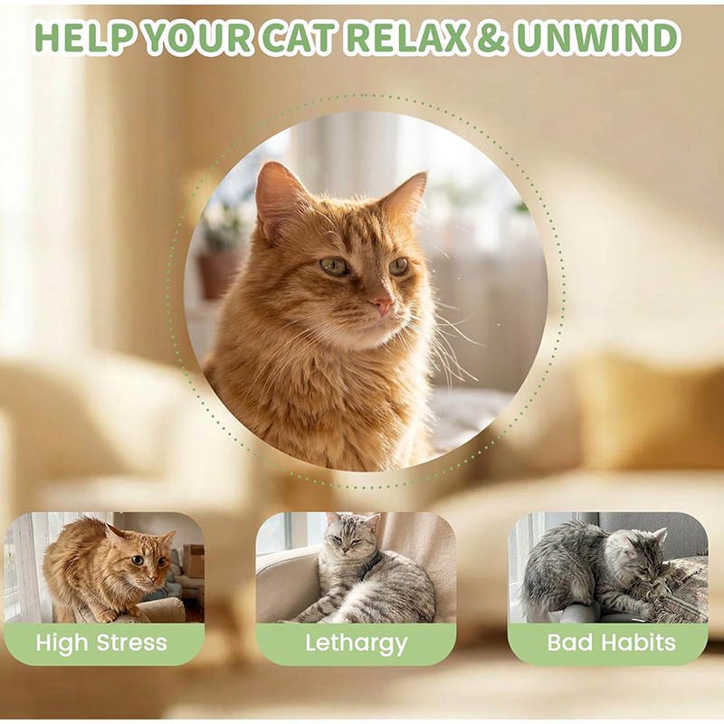 Juguetes para Gatos con Forma  - Catnip Toys reseña y precio