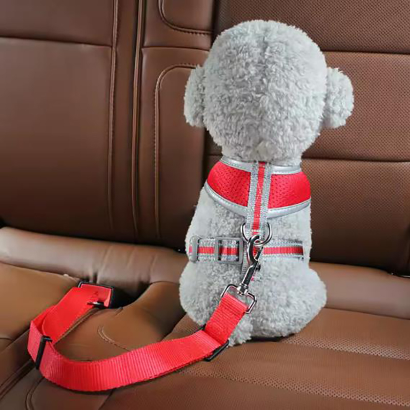 Cinturón de Seguridad Ajustabl - Retractable Dog Leash reseña y precio