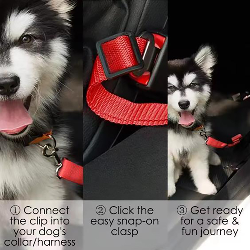 Cinturón de Seguridad Ajustabl - Retractable Dog Leash reseña y precio