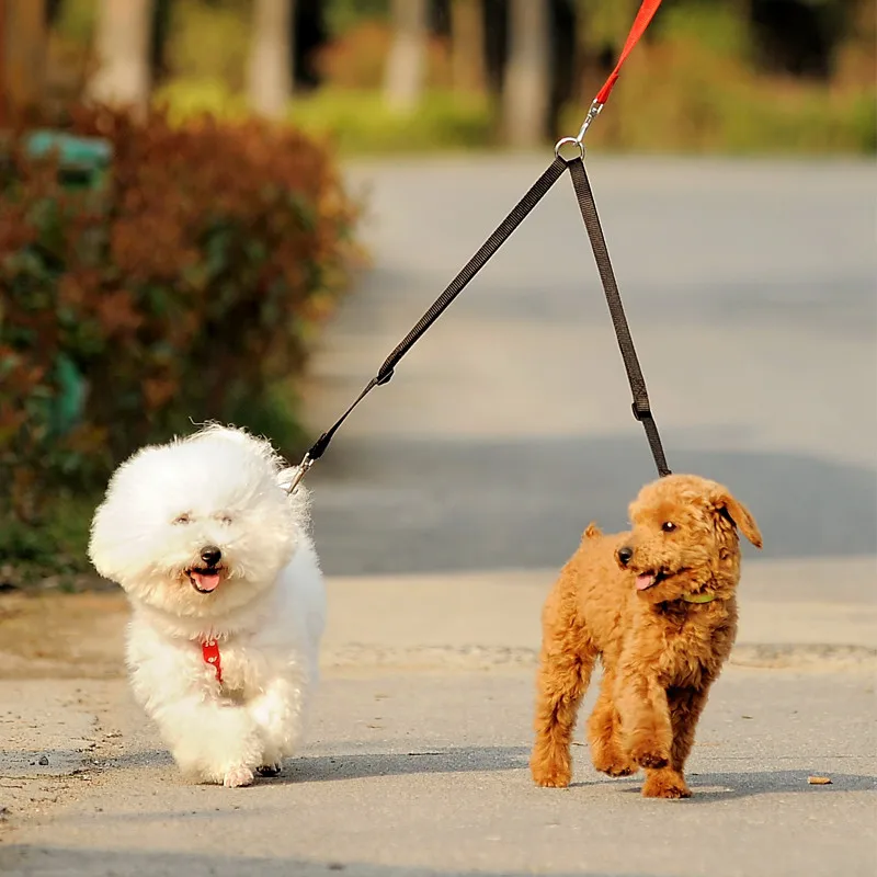 Acoplador de correa para dos p - Retractable Dog Leash reseña y precio