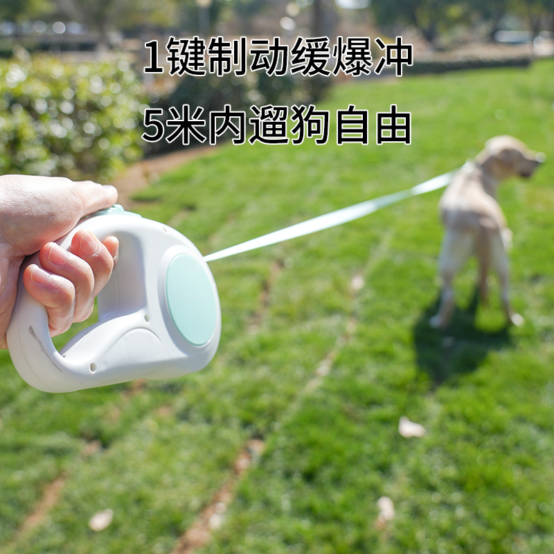 Correa retráctil para mascotas - Retractable Dog Leash reseña y precio