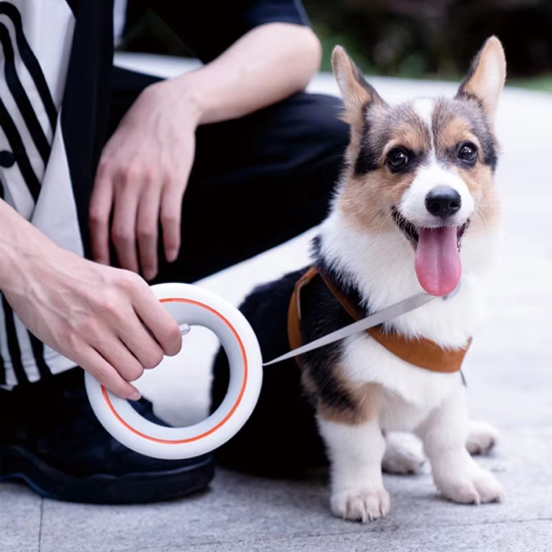 Moestar OVNI 가2 щу이, ,한 ′′이잠 - Retractable Dog Leash reseña y precio