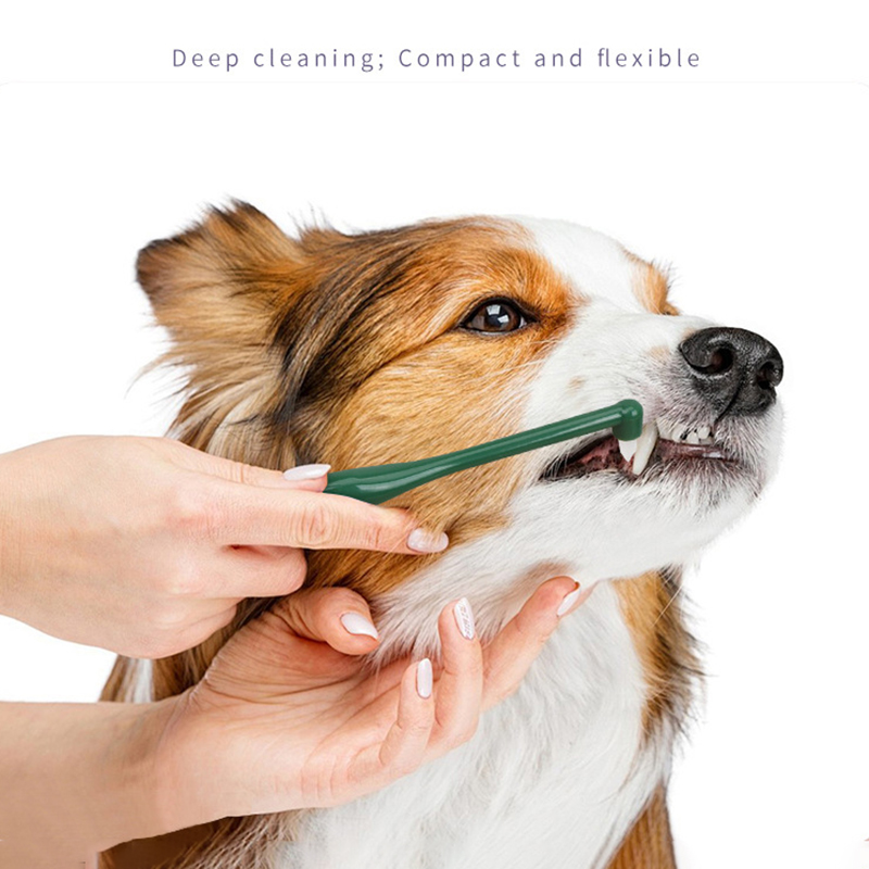 Micro cabezal para perro y gat - Pet Supplies Plus reseña y precio