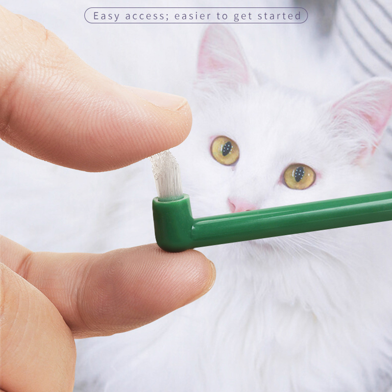 Micro cabezal para perro y gat - Pet Supplies Plus reseña y precio