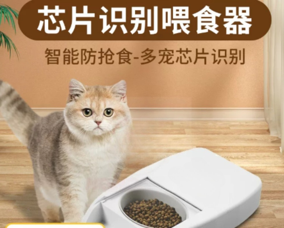 Comedero Inteligente Automátic - Automatic Pet Feeder reseña y precio