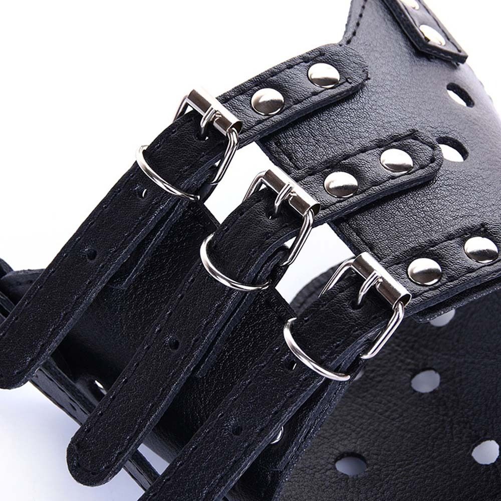 Bozal Antimordiscos y Antiladr - Pet Supplies Plus reseña y precio