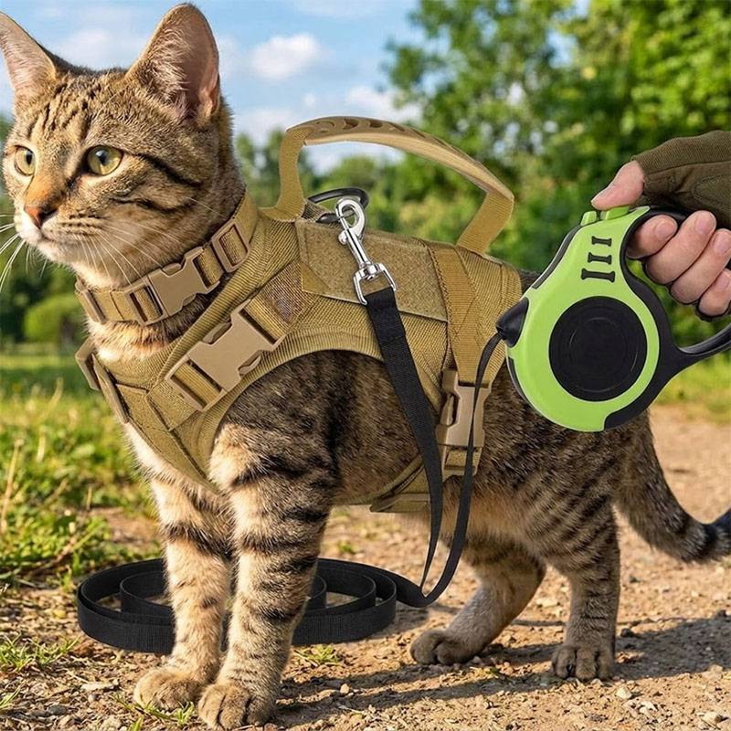 Arnés Táctico Transpirable par - Retractable Dog Leash reseña y precio
