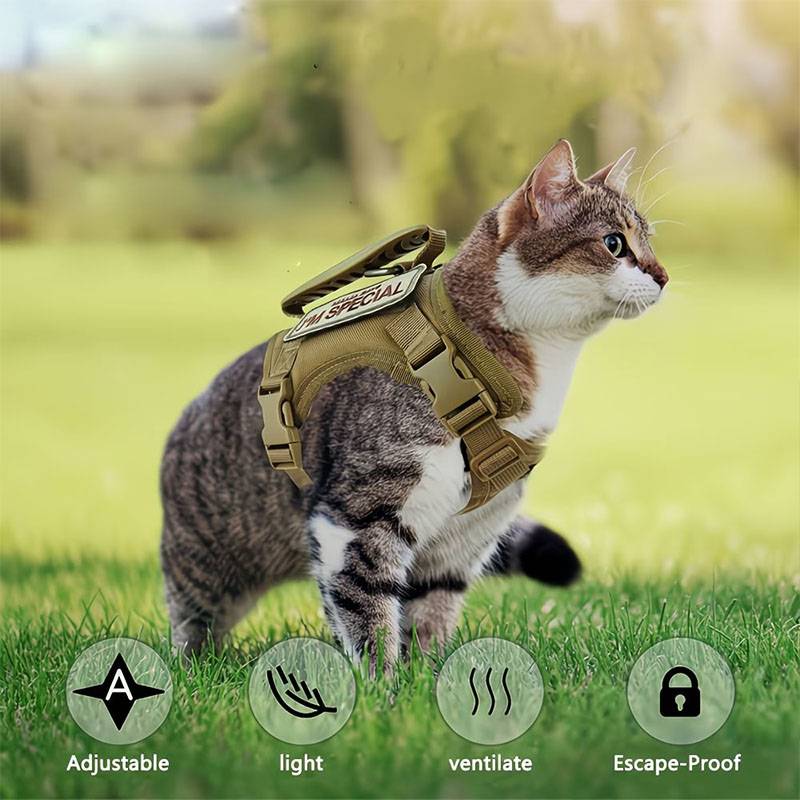Arnés Táctico Transpirable par - Retractable Dog Leash reseña y precio