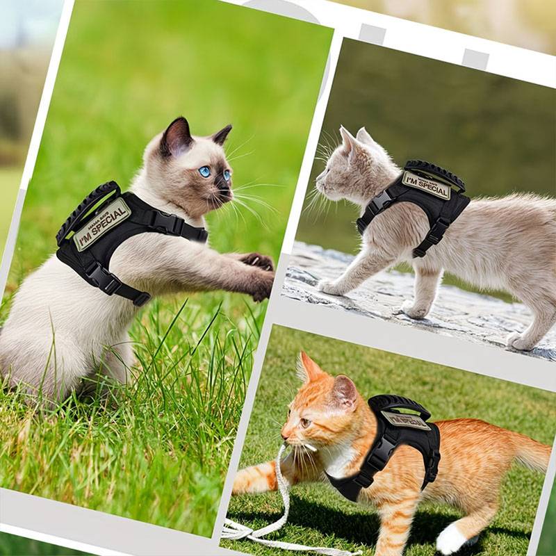 Arnés Táctico Transpirable par - Retractable Dog Leash reseña y precio