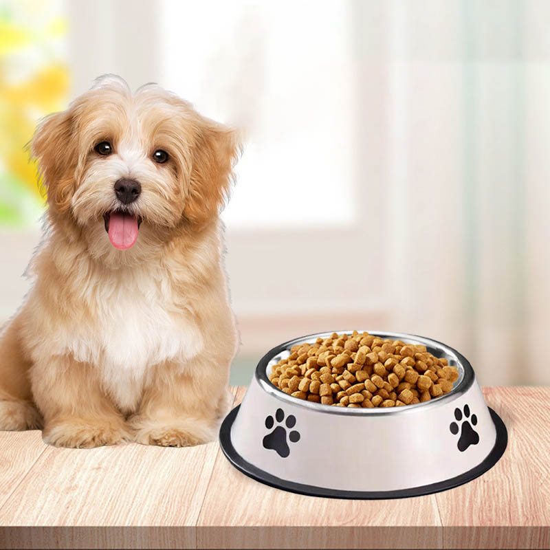 Tazón de Acero Inoxidable de G - Pet Supplies Plus reseña y precio