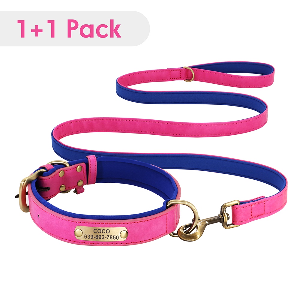 Collar de identificación de pe - Retractable Dog Leash reseña y precio