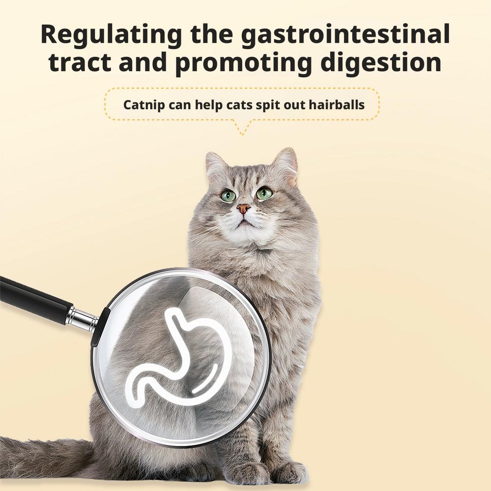 Bola de hierba gatera para gat - Catnip Toys reseña y precio