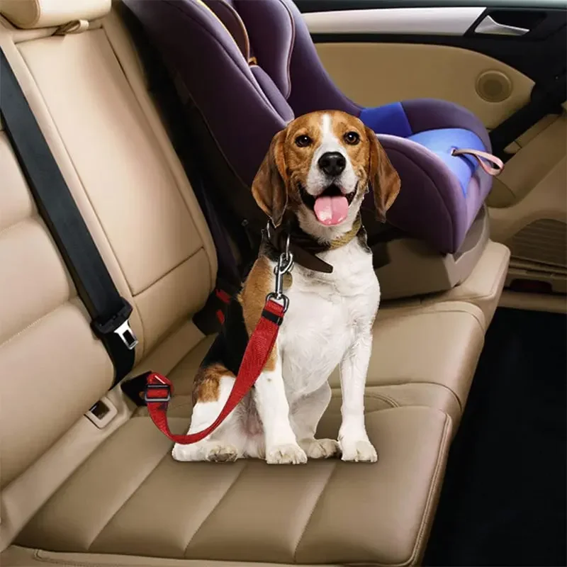 Cinturón de Seguridad para Per - Retractable Dog Leash reseña y precio