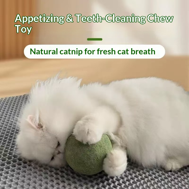 Pelota de Catnip Extra Grande, - Pet Supplies Plus reseña y precio