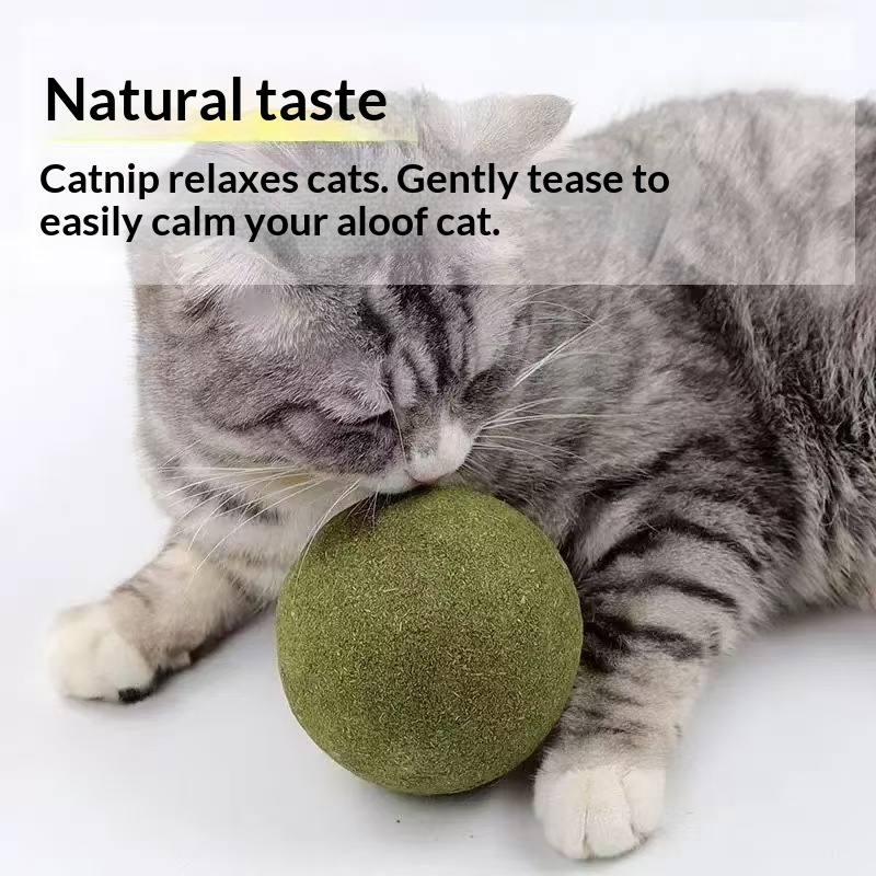 Pelota de Catnip Extra Grande, - Pet Supplies Plus reseña y precio