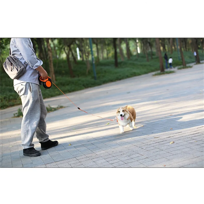 Correa retráctil para perro de - Retractable Dog Leash reseña y precio