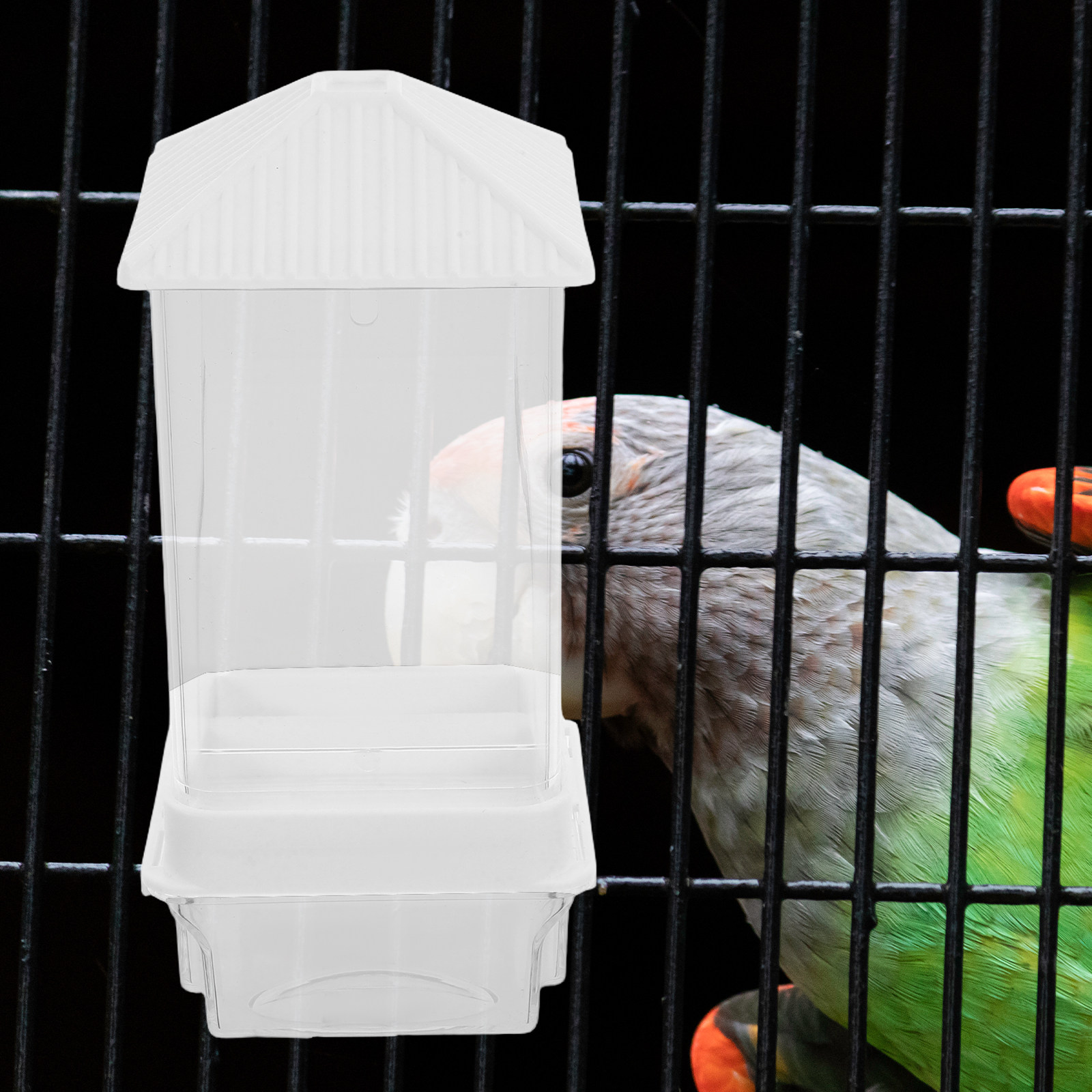 Comedero Automático para Pájar - Automatic Pet Feeder reseña y precio