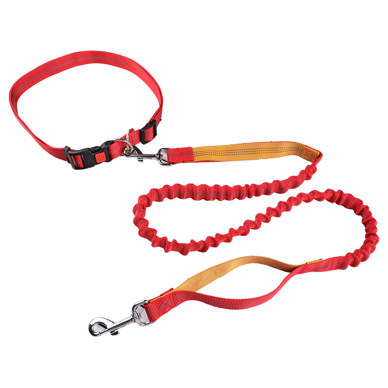 Correa para mascotas, correa p - Retractable Dog Leash reseña y precio