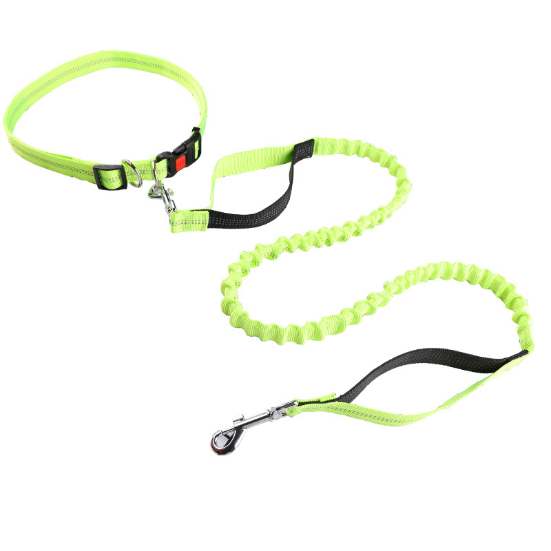 Correa para mascotas, correa p - Retractable Dog Leash reseña y precio