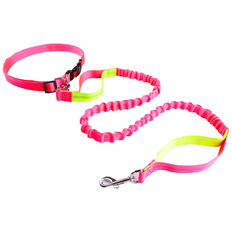 Correa para mascotas, correa p - Retractable Dog Leash reseña y precio
