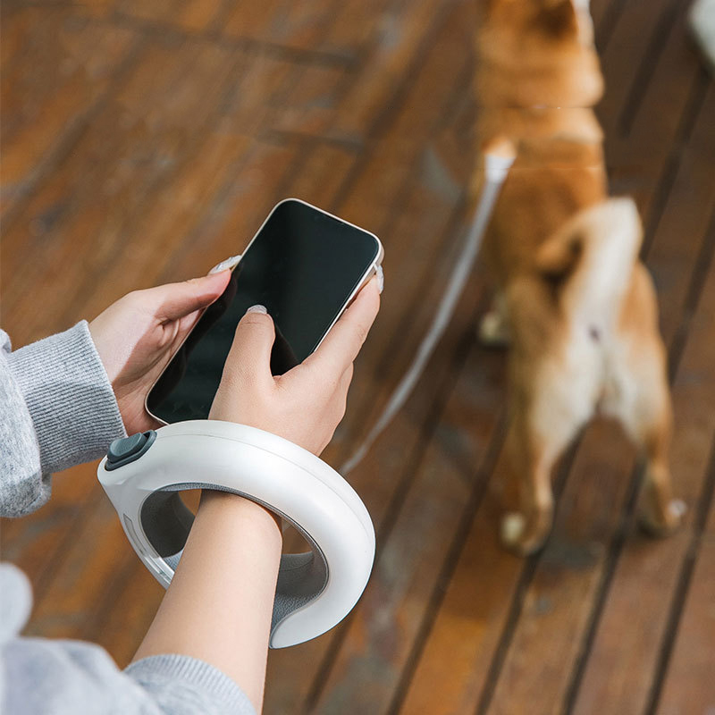 Correa Retráctil LED para Masc - Retractable Dog Leash reseña y precio