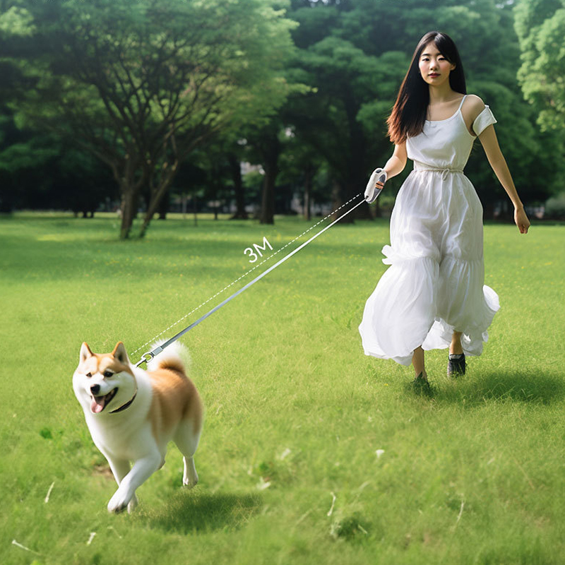 Correa Retráctil LED para Masc - Retractable Dog Leash reseña y precio