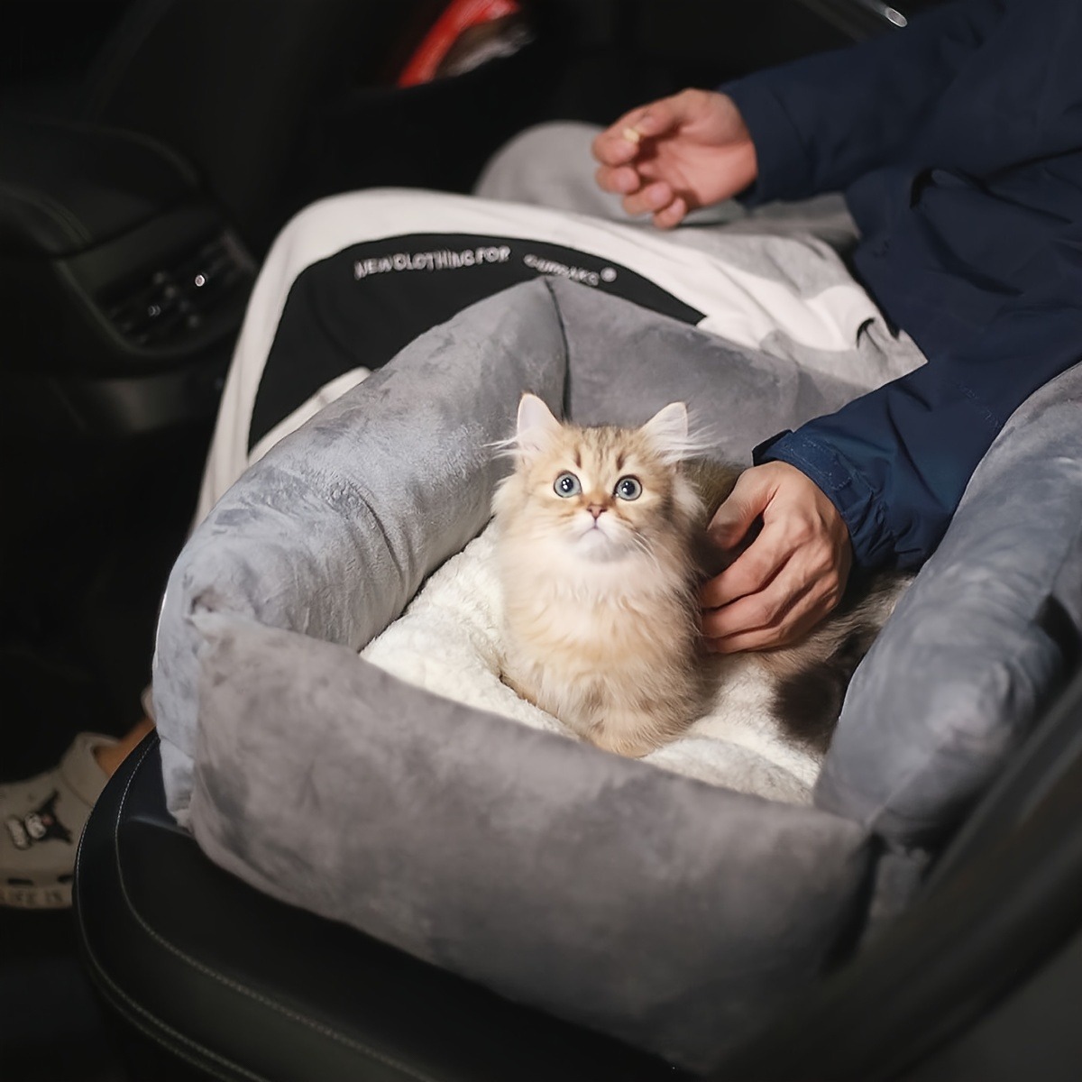 Cama para coche, sofá para per - Pet Supplies Plus reseña y precio