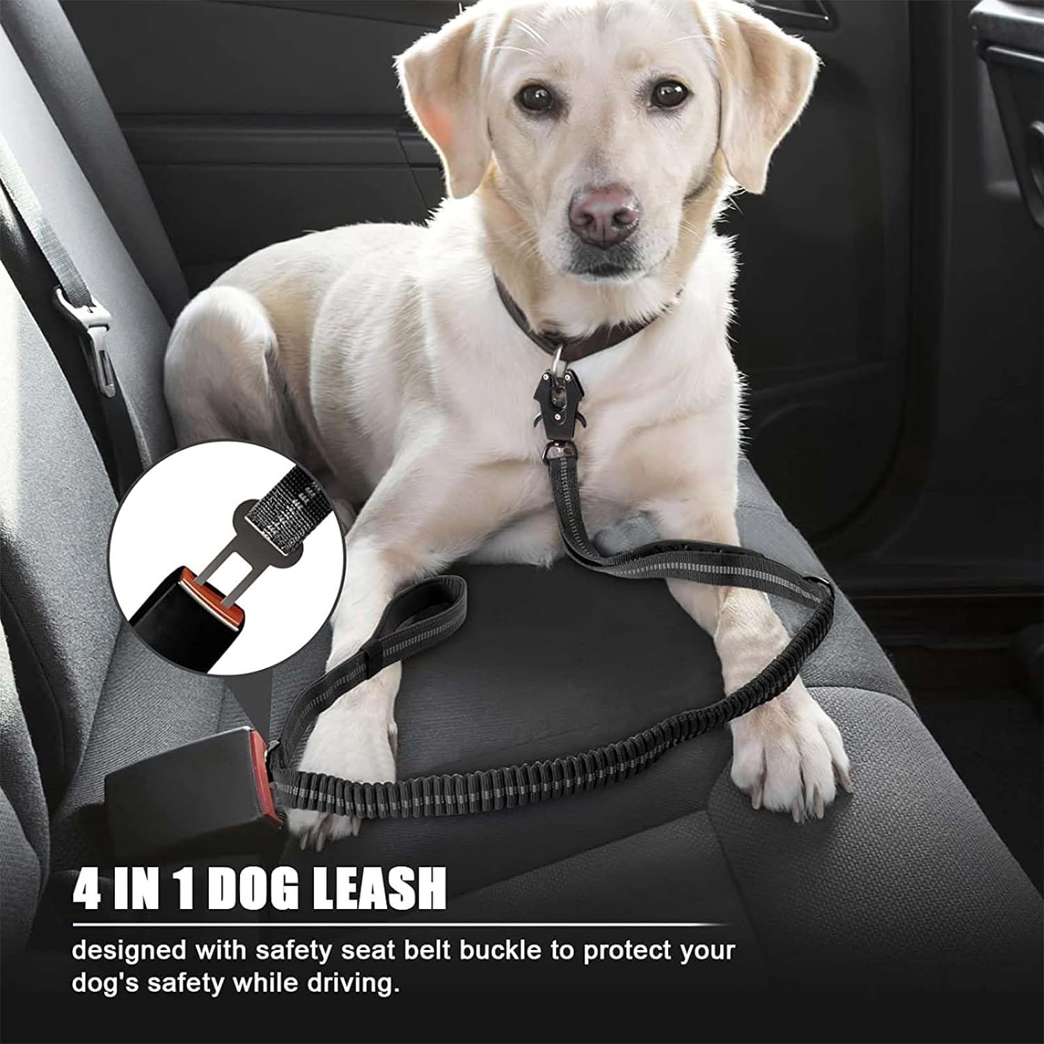 Correas reflectantes que absor - Retractable Dog Leash reseña y precio