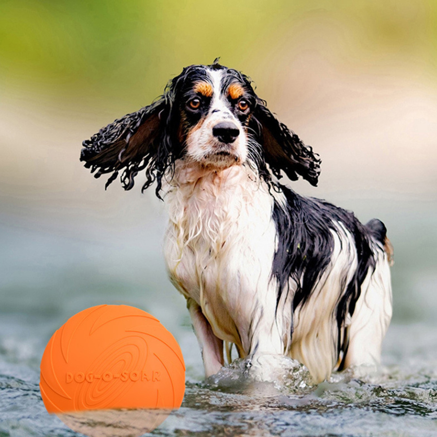 Disco Volador para Perros Gran - Pet Supplies Plus reseña y precio