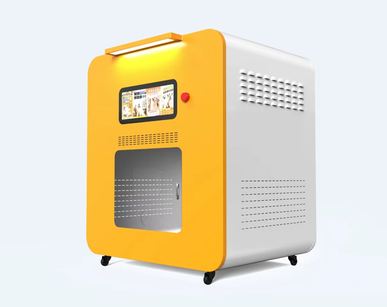 Estación de Lavado de Perros d - Pet Supplies Wash Station reseña y precio